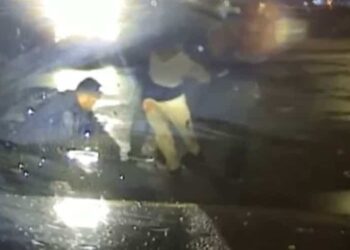 An alleged half-brother and sister couple attack police officers