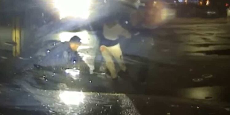 An alleged half-brother and sister couple attack police officers