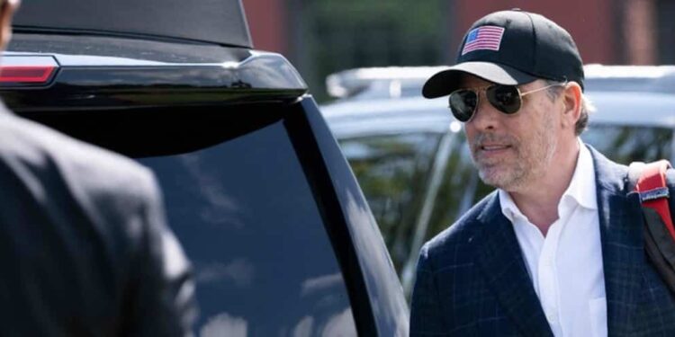 Party life: Joe Biden’s son spent nearly $1.2 million on porn