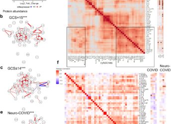 Persistent brain damage caused by COVID-19 is not always detected by routine tests
