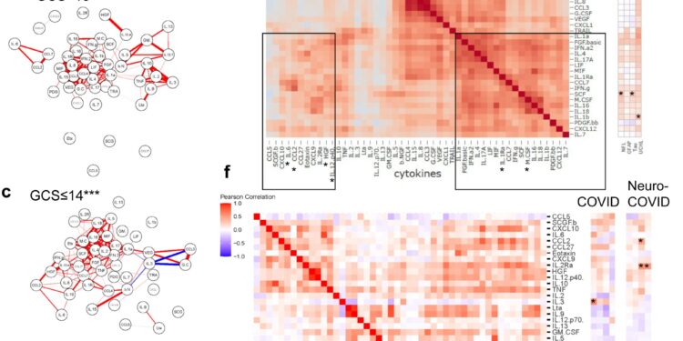 Persistent brain damage caused by COVID-19 is not always detected by routine tests