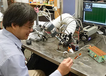 Pesticides and adjuvants disrupt bees’ sense of smell