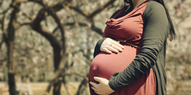 Pregnant women lack essential nutrients, a situation that could be made worse with plant-based foods.