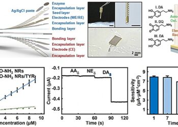 Real-time dopamine measurement using a flexible probe that minimizes brain damage