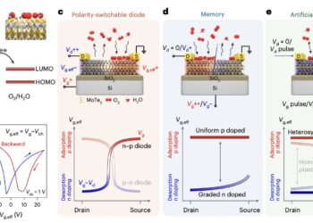 Reconfigurable molybdenum ditelluride devices with multiple functions