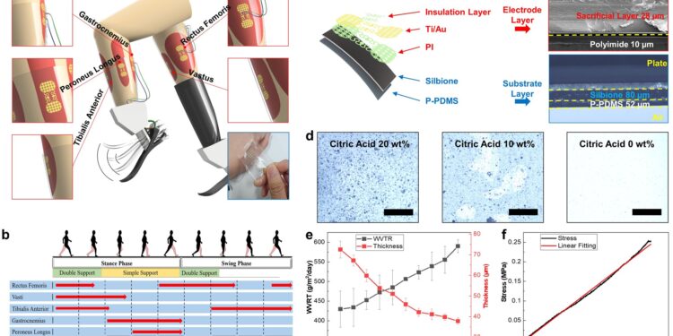 Research team develops new technology for robotic control of prosthetic legs