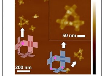 Researchers create 3D DNA nanorobots