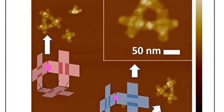 Researchers create 3D DNA nanorobots