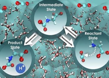 Researchers decode the potential of aqueous amino acids for direct capture of CO₂ from the air