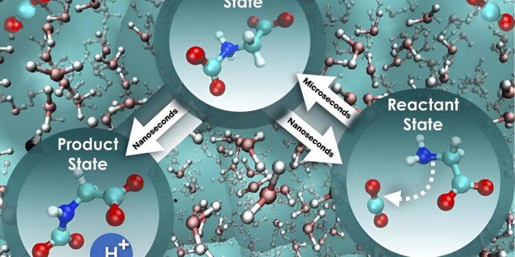 Researchers decode the potential of aqueous amino acids for direct capture of CO₂ from the air