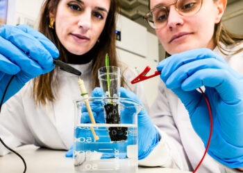 Researchers develop ‘electronic soil’ that improves crop growth