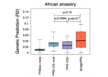 Researchers develop new method to improve disease prediction in diverse ancestries