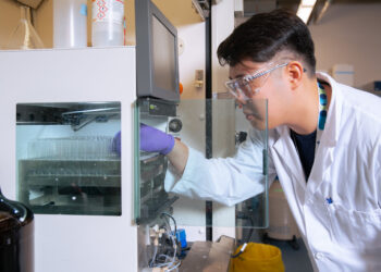 Researchers discover new lipid nanoparticles that show muscle-specific mRNA delivery and reduce off-target effects.