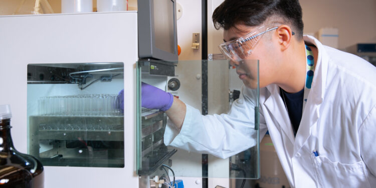 Researchers discover new lipid nanoparticles that show muscle-specific mRNA delivery and reduce off-target effects.