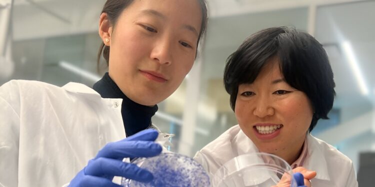 Researchers discover on/off switch for breast cancer metastasis