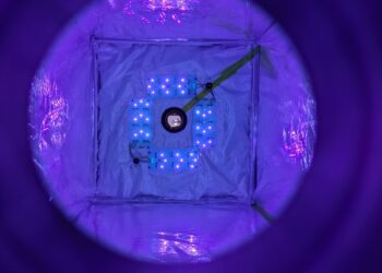 Researchers invent ‘methane cleaner’ that could become a permanent fixture in cattle and pig barns