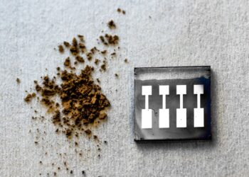 Researchers use wood materials to create reliable organic solar cells