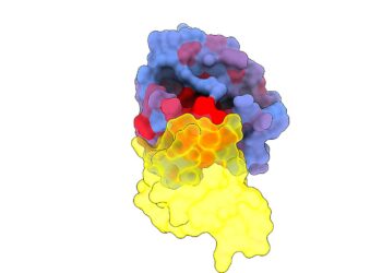 Secret Vulnerabilities of Cancer’s ‘Death Star’ Protein Revealed