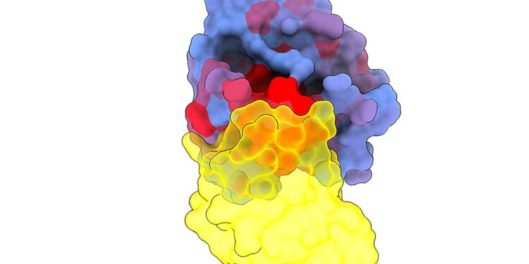 Secret Vulnerabilities of Cancer’s ‘Death Star’ Protein Revealed