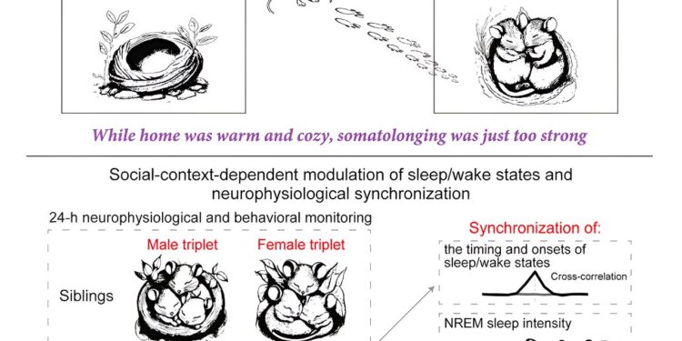 Sleep may be compromised with a bed partner