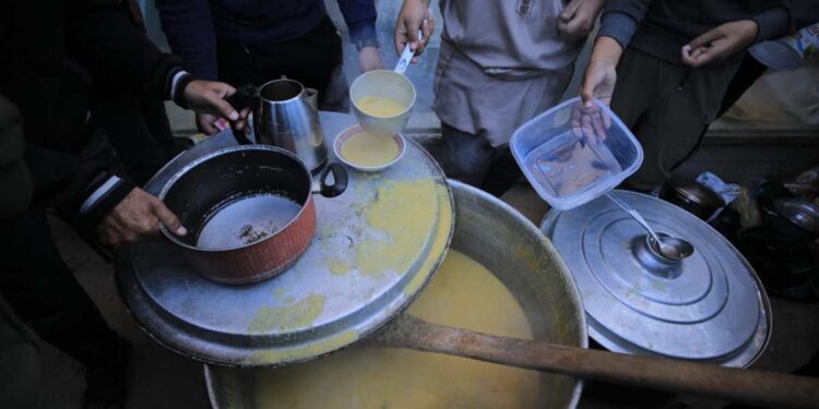 Solidarity in the face of “war merchants”… High prices are ravaging the displaced in Gaza  Policy