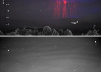 Spectroscopic data of an atmospheric green ghost captured for the first time