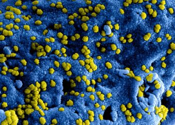 Structures of proteins linked to Parkinson’s disease provide a framework for understanding how they work together