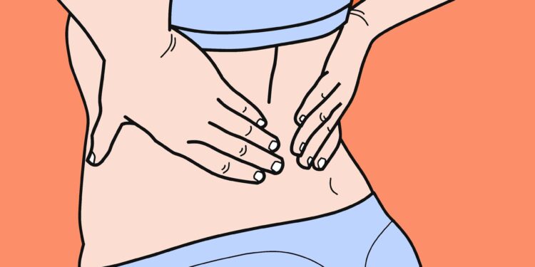 Study links back pain to subtype of cells in spinal ‘shock absorbers’