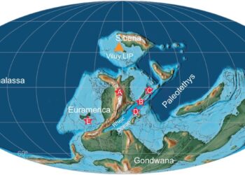 Study reshapes understanding of late-Devonian mass extinction
