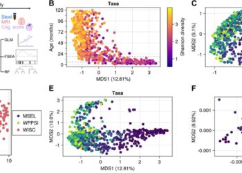 Study reveals relationship between gut microbiome and children’s brain development and function
