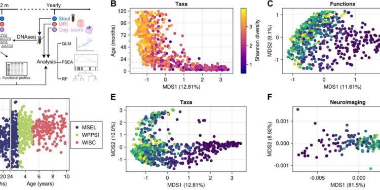 Study reveals relationship between gut microbiome and children’s brain development and function
