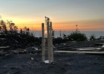 Study shows how hurricane acted as highway to transport microplastics to isolated region of Newfoundland