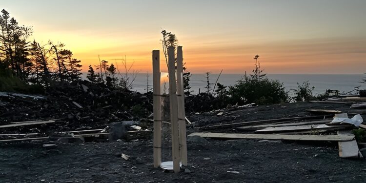 Study shows how hurricane acted as highway to transport microplastics to isolated region of Newfoundland