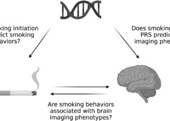 Study shows smoking likely causes brain shrinkage