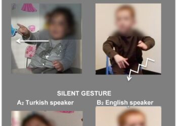 Study suggests existence of universal nonverbal communication system