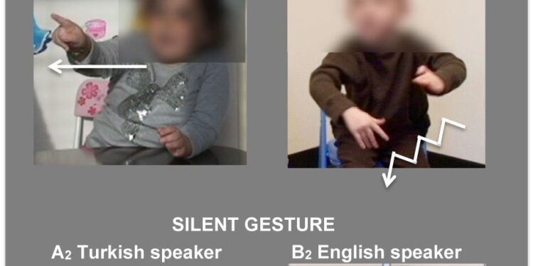 Study suggests existence of universal nonverbal communication system