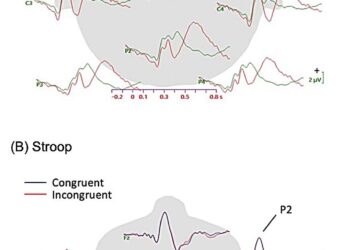 Study suggests that neural correlates of mind wandering may vary across different tasks