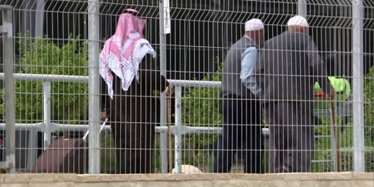 The Guardian: Elderly Palestinians who survived their lives in 1948 face the Nakba again in Gaza |  Policy