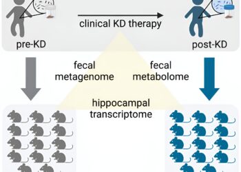 The keto diet protects against epileptic seizures, and scientists find out why