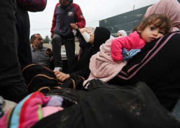 The occupation detains 142 female prisoners from Gaza, including infants and elderly women  News