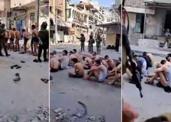 The occupation forces strip displaced people of their clothes and take them to an unknown location  News