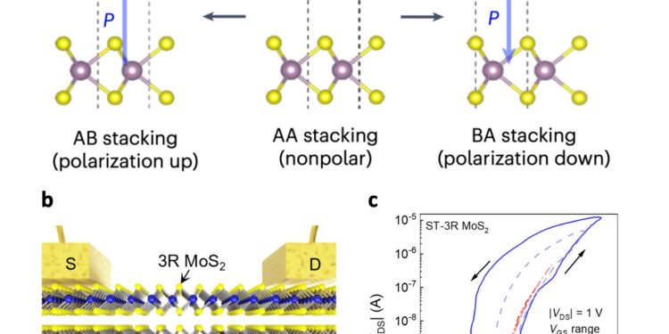 The team develops sliding ferroelectric transistors based on switchable polarity molybdenum disulfide