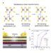 The team develops sliding ferroelectric transistors based on switchable polarity molybdenum disulfide