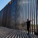 The wall on the southern border of the United States, an obstacle for wildlife