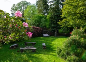 Three researchers show their suburban backyard is home to more than 1,000 species