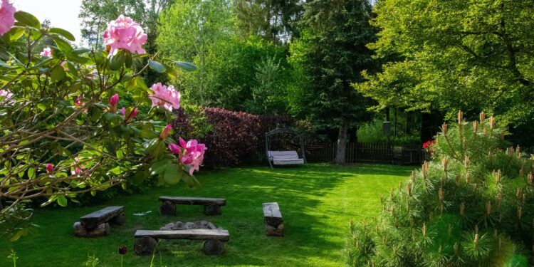 Three researchers show their suburban backyard is home to more than 1,000 species