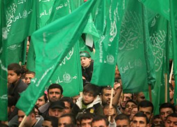 Thus, the occupation failed to isolate Hamas from its popular incubator in Gaza  Policy