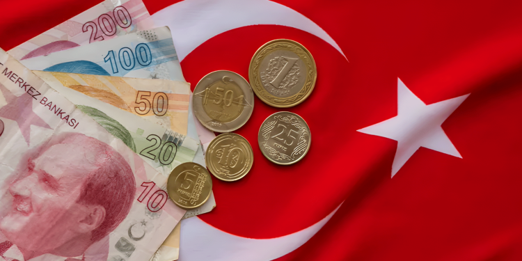 Türkiye.. The lira reaches a record low and unemployment declines  Economy