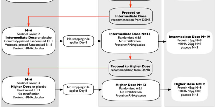 Two COVID-19 vaccines show strong boost potential in clinical trial