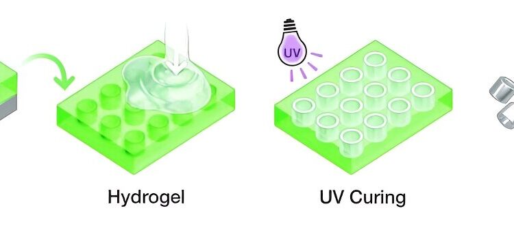 Ultra-small, shape-shifting GEMS offer a simpler, cheaper way to improve MRI imaging